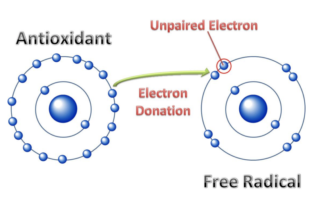 alkaline water has antioxidant properties