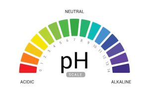 ph-scale-indicator-chart-diagram-acidic-alkaline-measure_41737-915 (1)